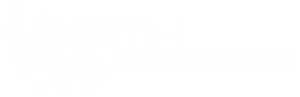 neth-logo-white-new